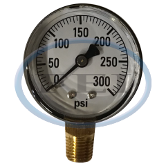 Gauge-1/4 Mpt Br Btm Mt 2 Dry 0-300Psi